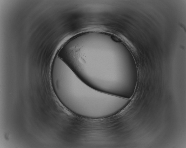 X0000093361240200710111303