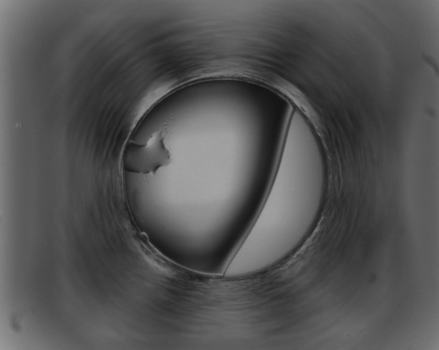 X0000093361242200710111303