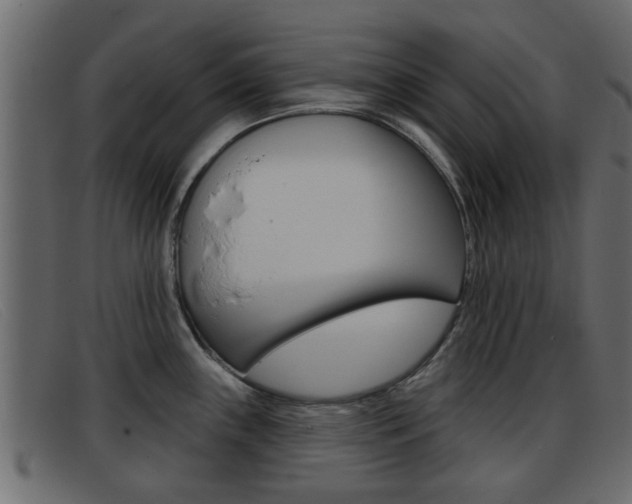 X0000093361243200710111303