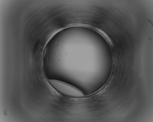 X0000093361244200710111303