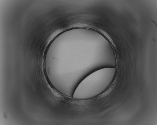 X0000093361245200710111303