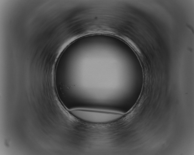 X0000093361246200710111303