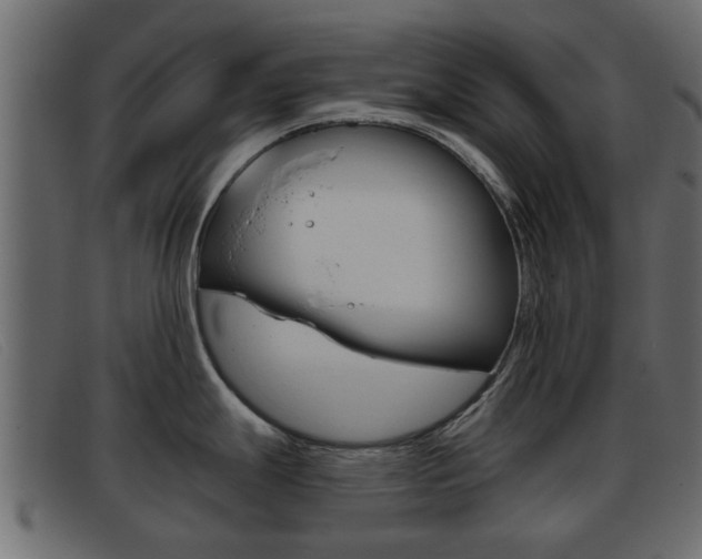 X0000093361247200710111303