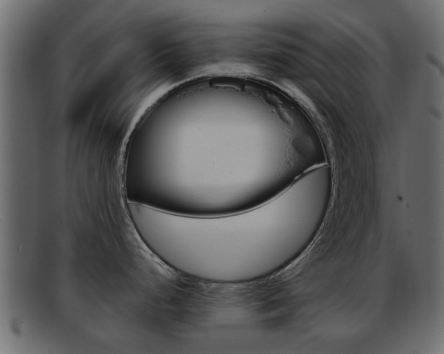 X0000093361248200710111303
