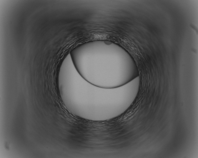 X0000093361249200710111302