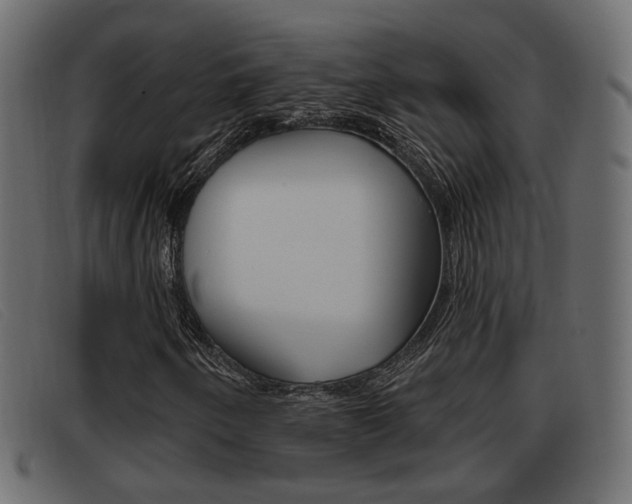 X0000093361250200710111302