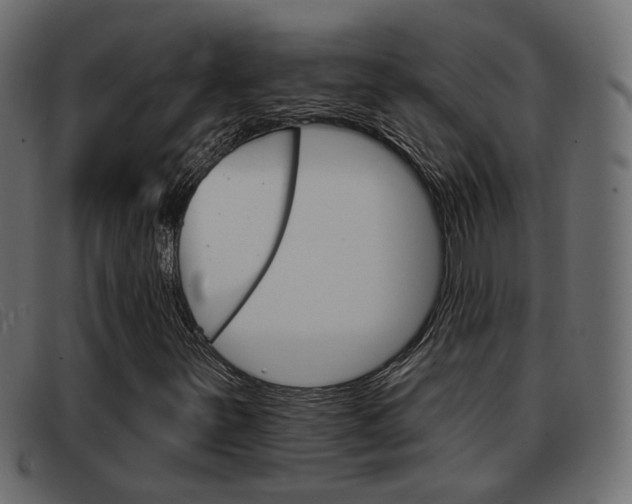 X0000093361251200710111302
