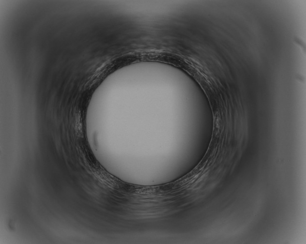X0000093361252200710111302