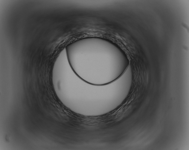 X0000093361253200710111302