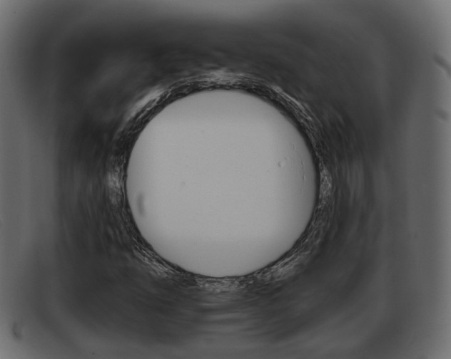 X0000093361254200710111302