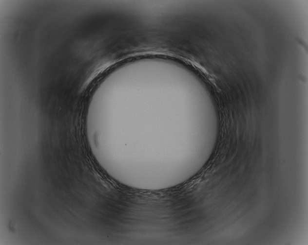 X0000093361255200710111302