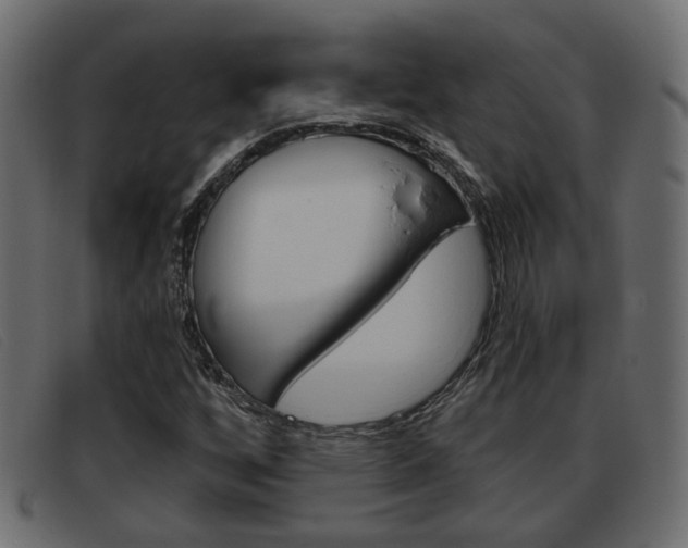 X0000093361256200710111302
