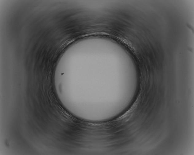 X0000093361257200710111302
