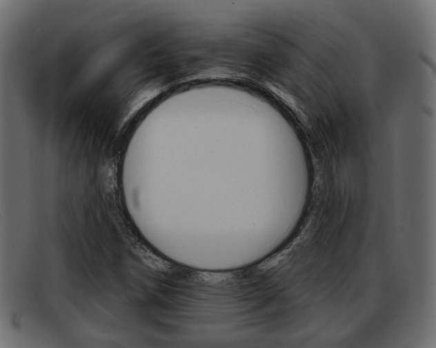X0000093361258200710111302