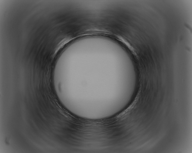 X0000093361259200710111302