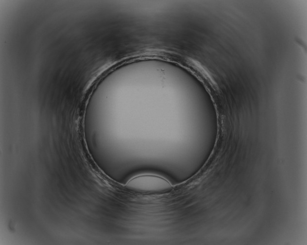 X0000093361260200710111302