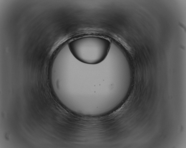 X0000093361261200710111302