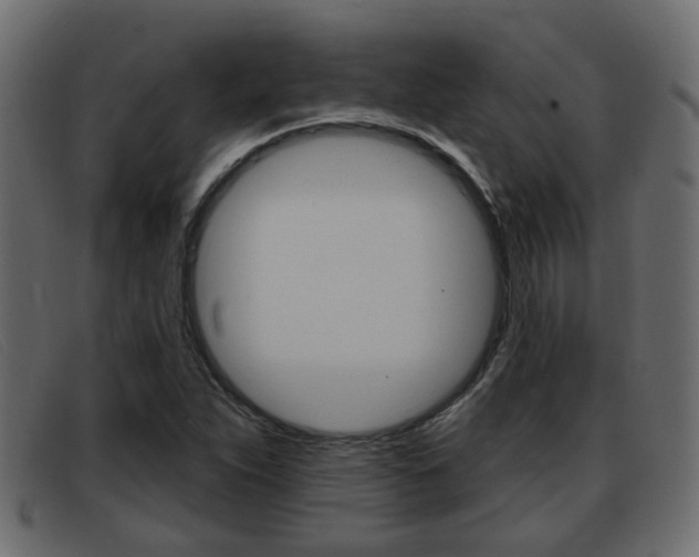 X0000093361263200710111302