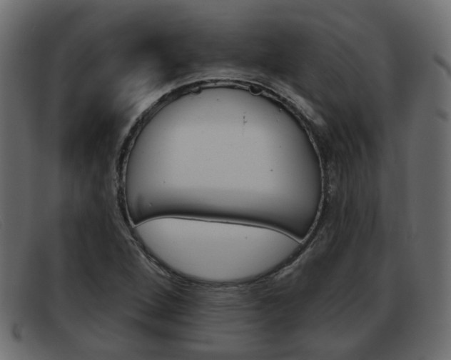 X0000093361264200710111302