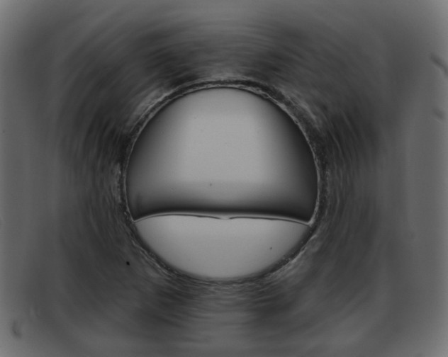 X0000093361265200710111302