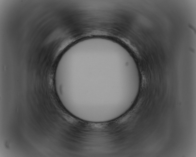 X0000093361266200710111302