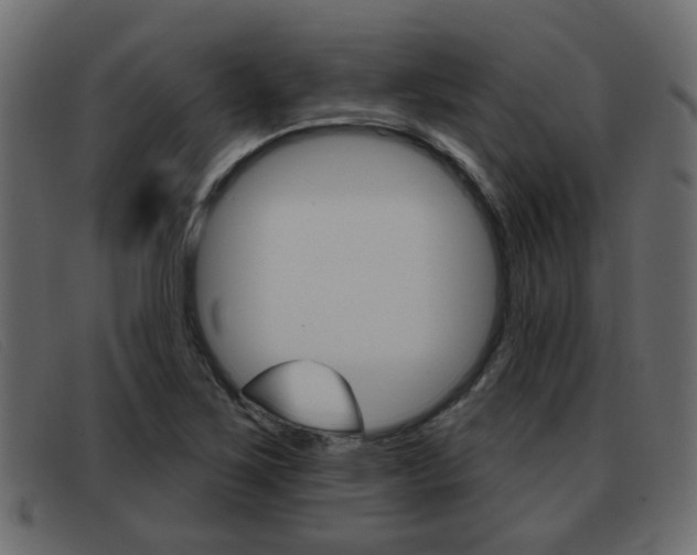 X0000093361267200710111302