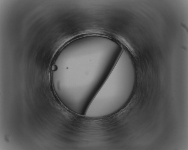 X0000093361268200710111302