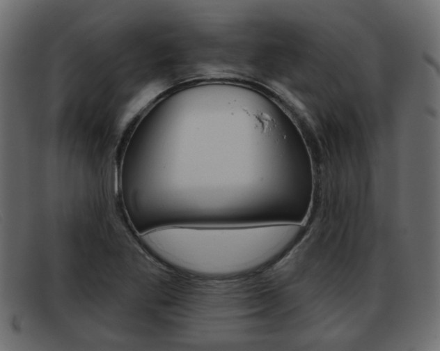 X0000093361269200710111302