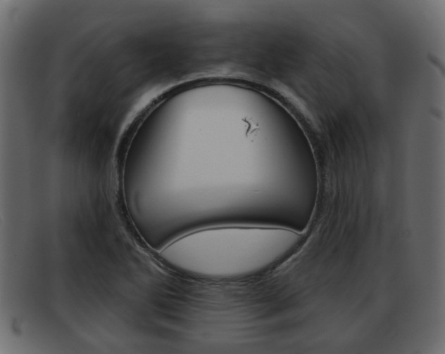 X0000093361270200710111302