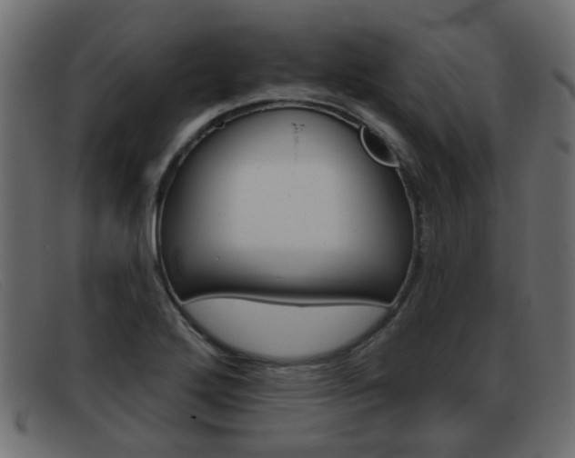 X0000093361272200710111302