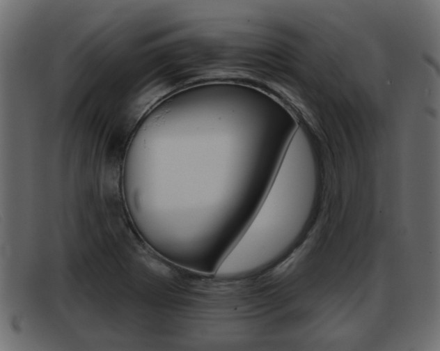 X0000093361273200710111302