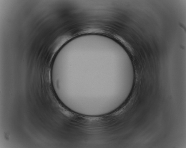 X0000093361274200710111302