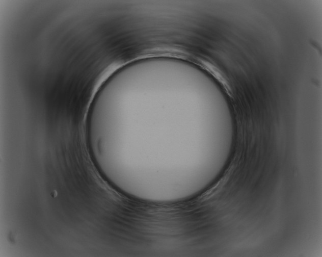 X0000093361275200710111302