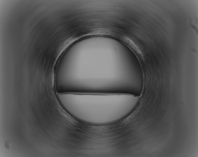X0000093361276200710111302