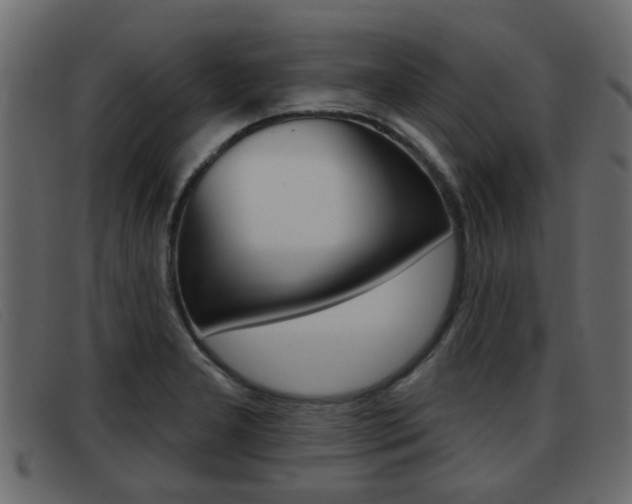 X0000093361277200710111302