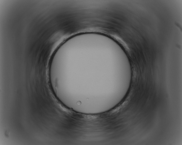 X0000093361278200710111302