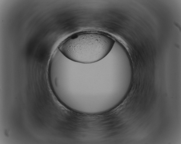 X0000093361279200710111302