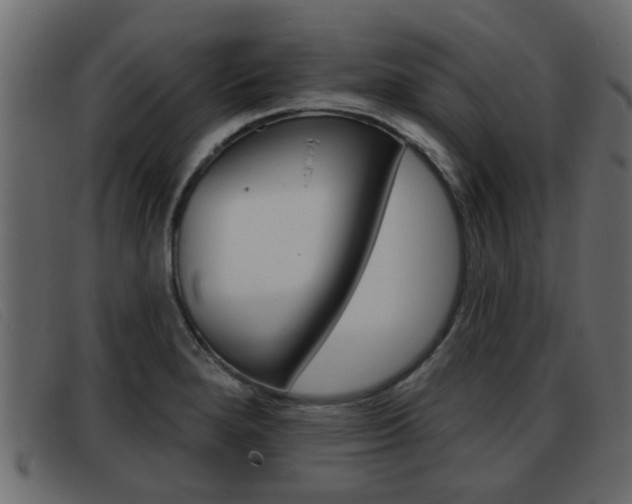 X0000093361280200710111302