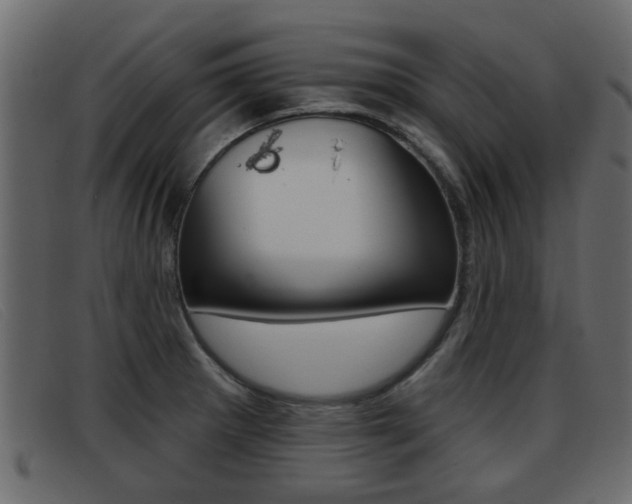 X0000093361281200710111302