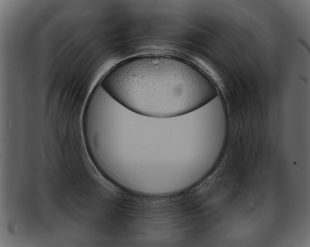X0000093361283200710111302