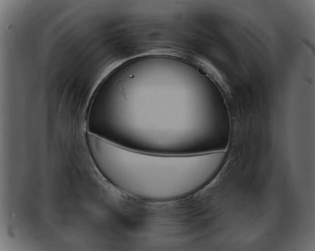 X0000093361284200710111302