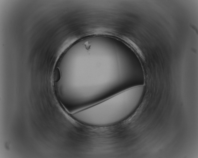 X0000093361285200710111302