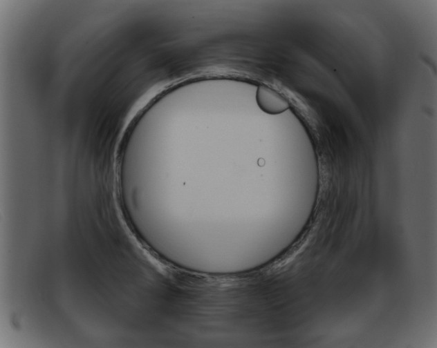 X0000093361286200710111302