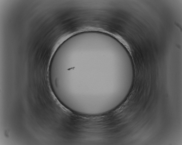 X0000093361287200710111302