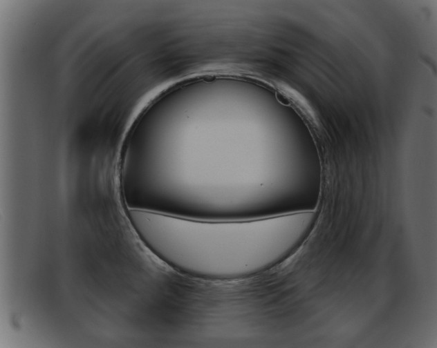 X0000093361288200710111302