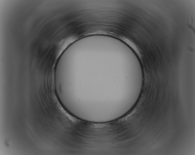 X0000093361290200710111302