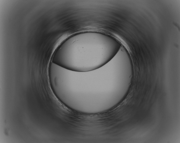 X0000093361291200710111302