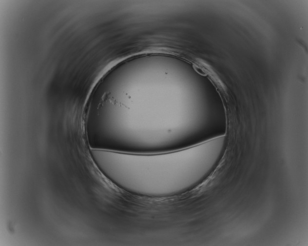 X0000093361292200710111302