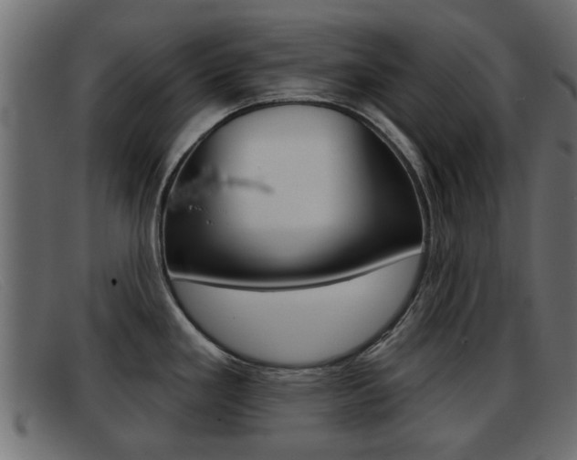 X0000093361293200710111302
