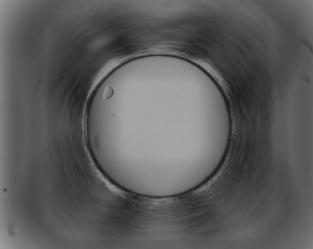 X0000093361294200710111302